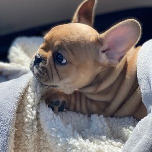 Meet your Posher, Kristin